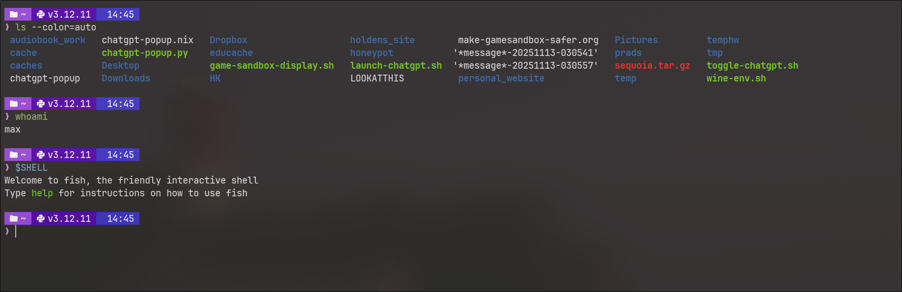 Preview of Shell